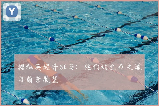揭秘英超升班马：他们的生存之道与前景展望