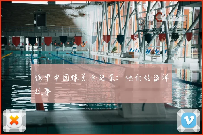 德甲中国球员全记录：他们的留洋故事