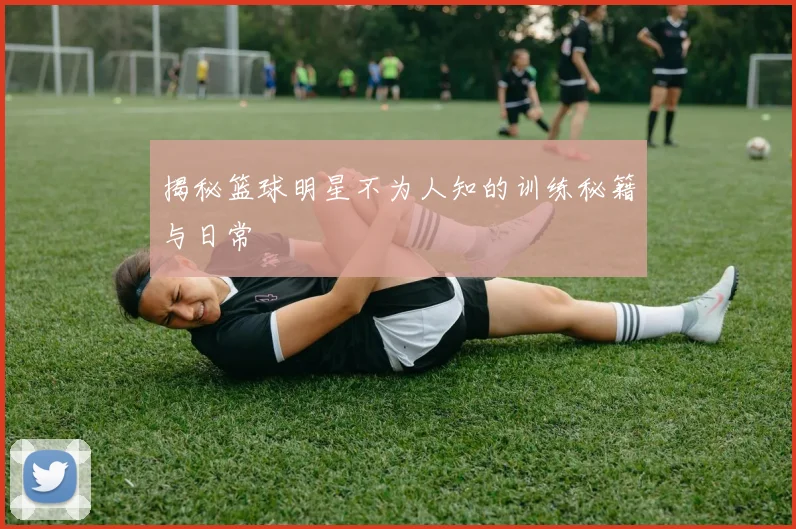 揭秘篮球明星不为人知的训练秘籍与日常