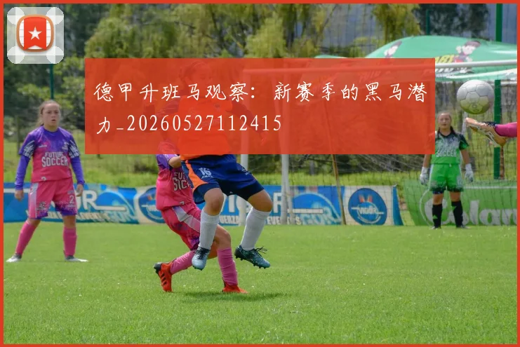 德甲升班马观察：新赛季的黑马潜力_20260527112415