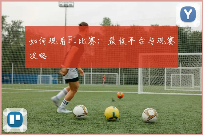 如何观看F1比赛：最佳平台与观赛攻略