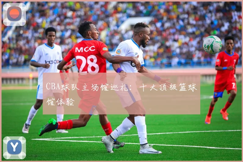 CBA球队主场馆巡礼:十大顶级篮球馆体验