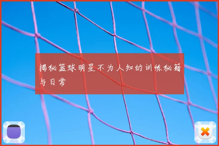 揭秘篮球明星不为人知的训练秘籍与日常