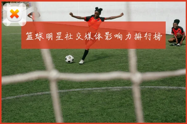 篮球明星社交媒体影响力排行榜